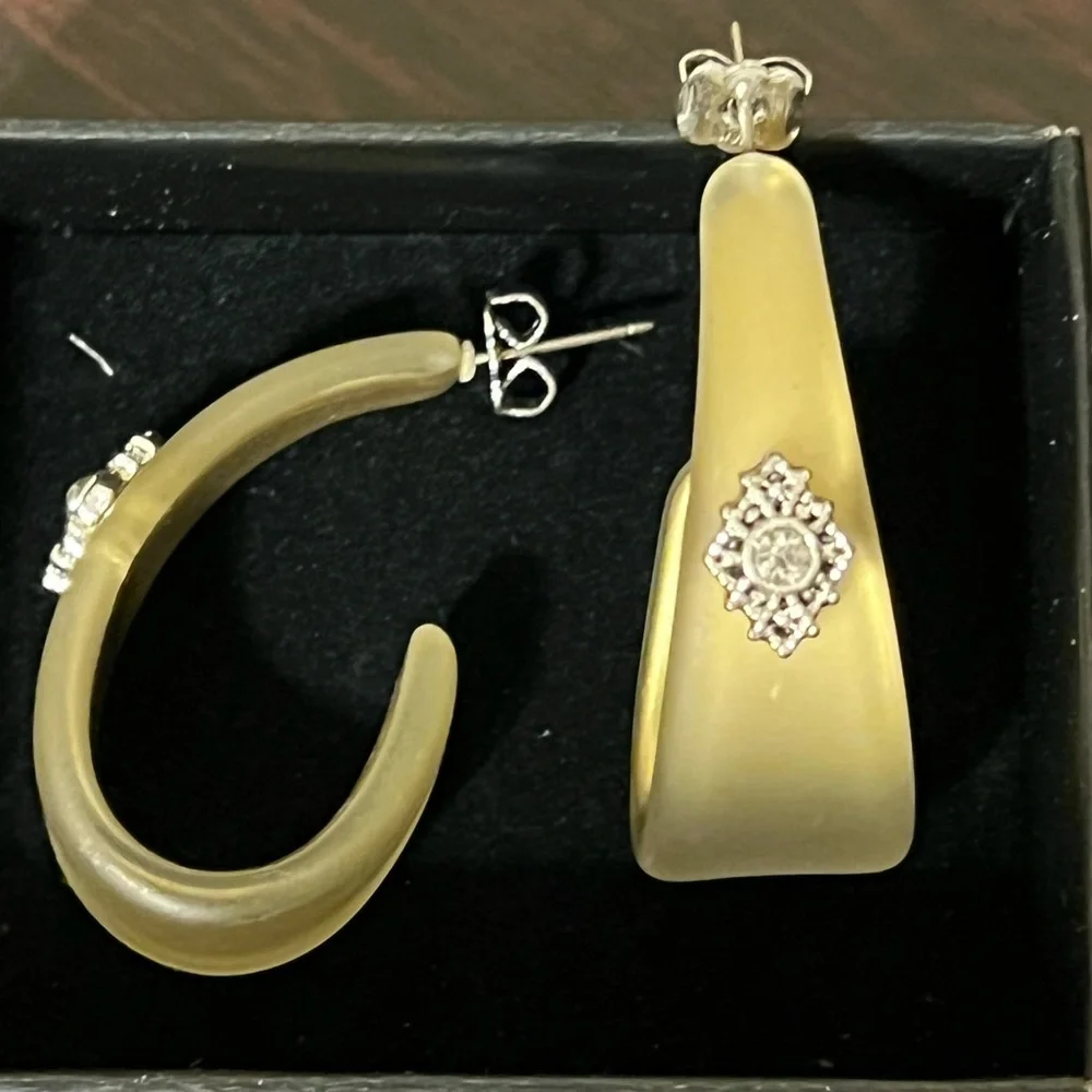 FROSTED EMBELLISHED HOOP EARRINGS - AVON - Picture 2 of 4